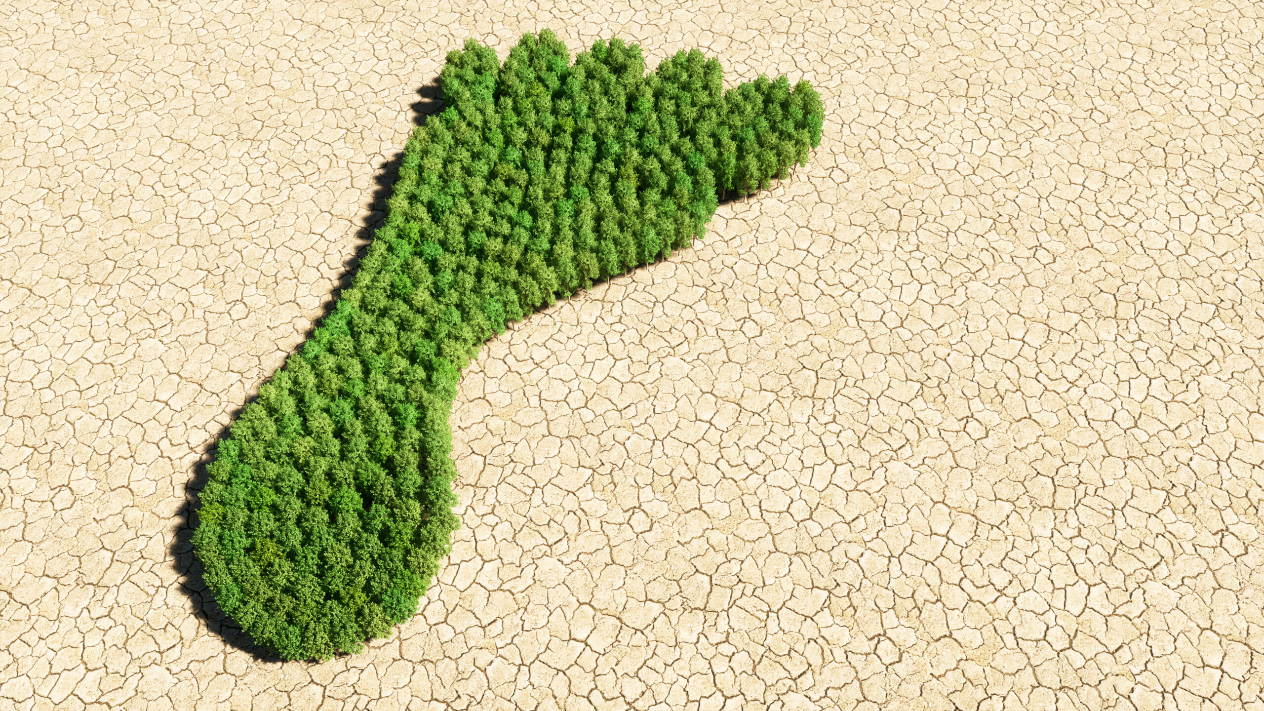 Carbon footprinting