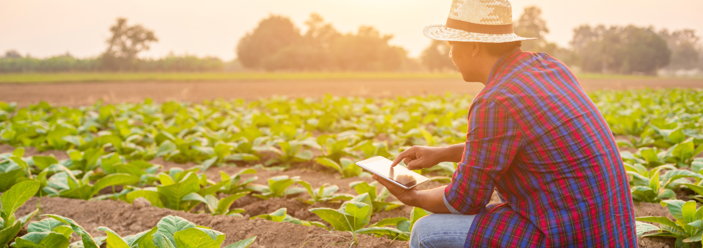 sustainable-farming-sourcing-esg sustainable-farming-sourcing-esg
