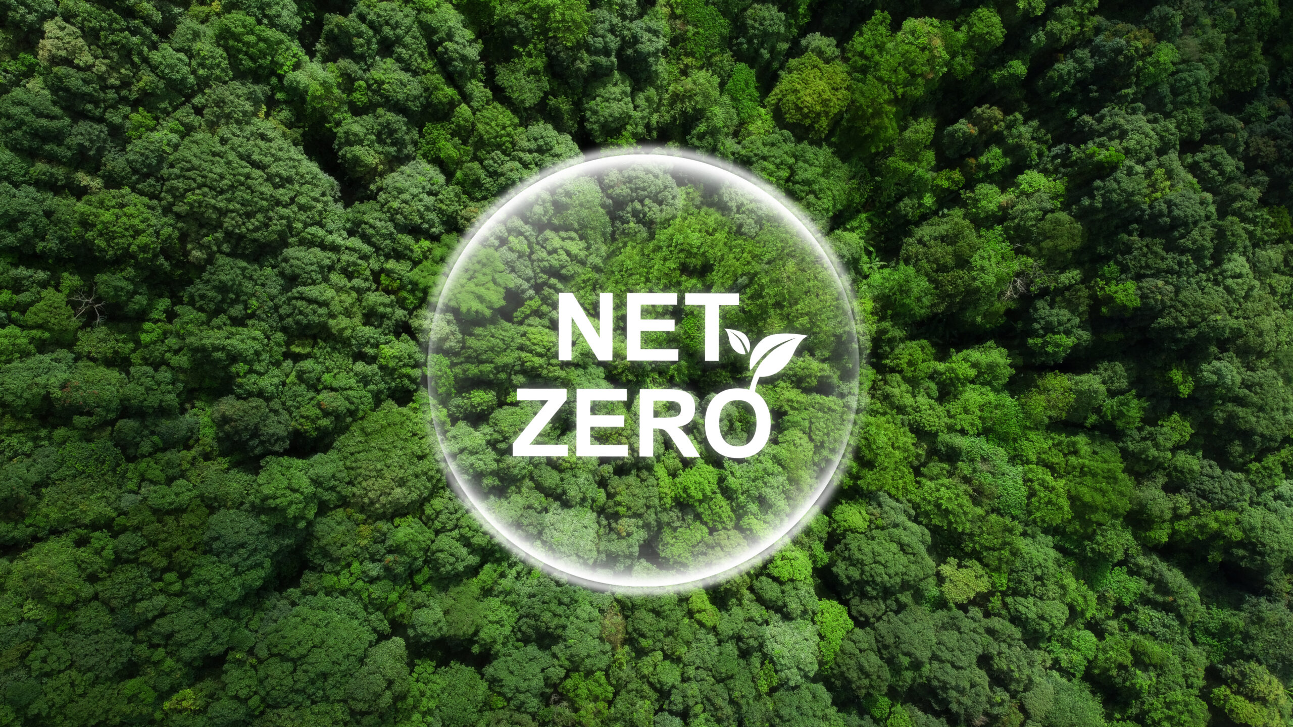 Net Zero and Carbon Neutral Net Zero and Carbon Neutral