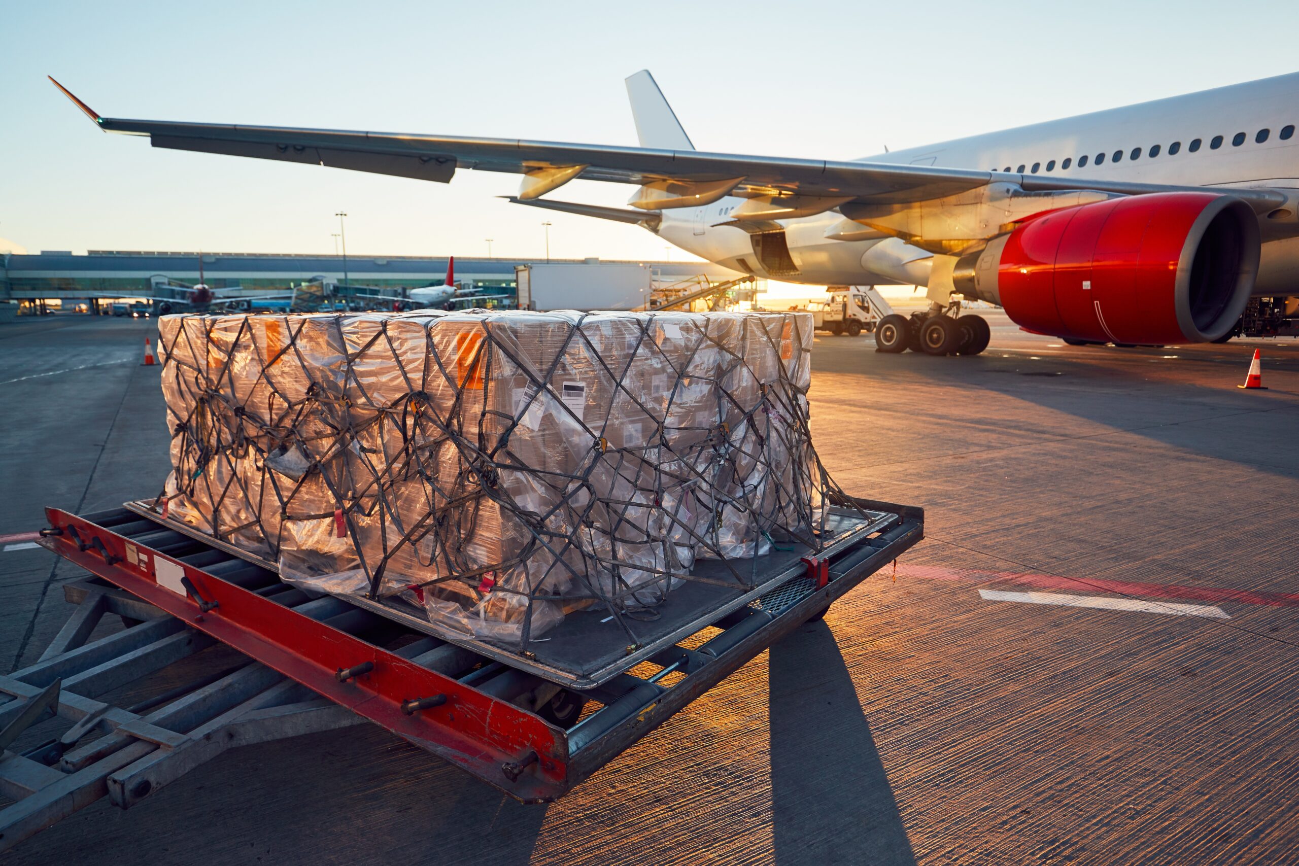 Aircraft Freight Management