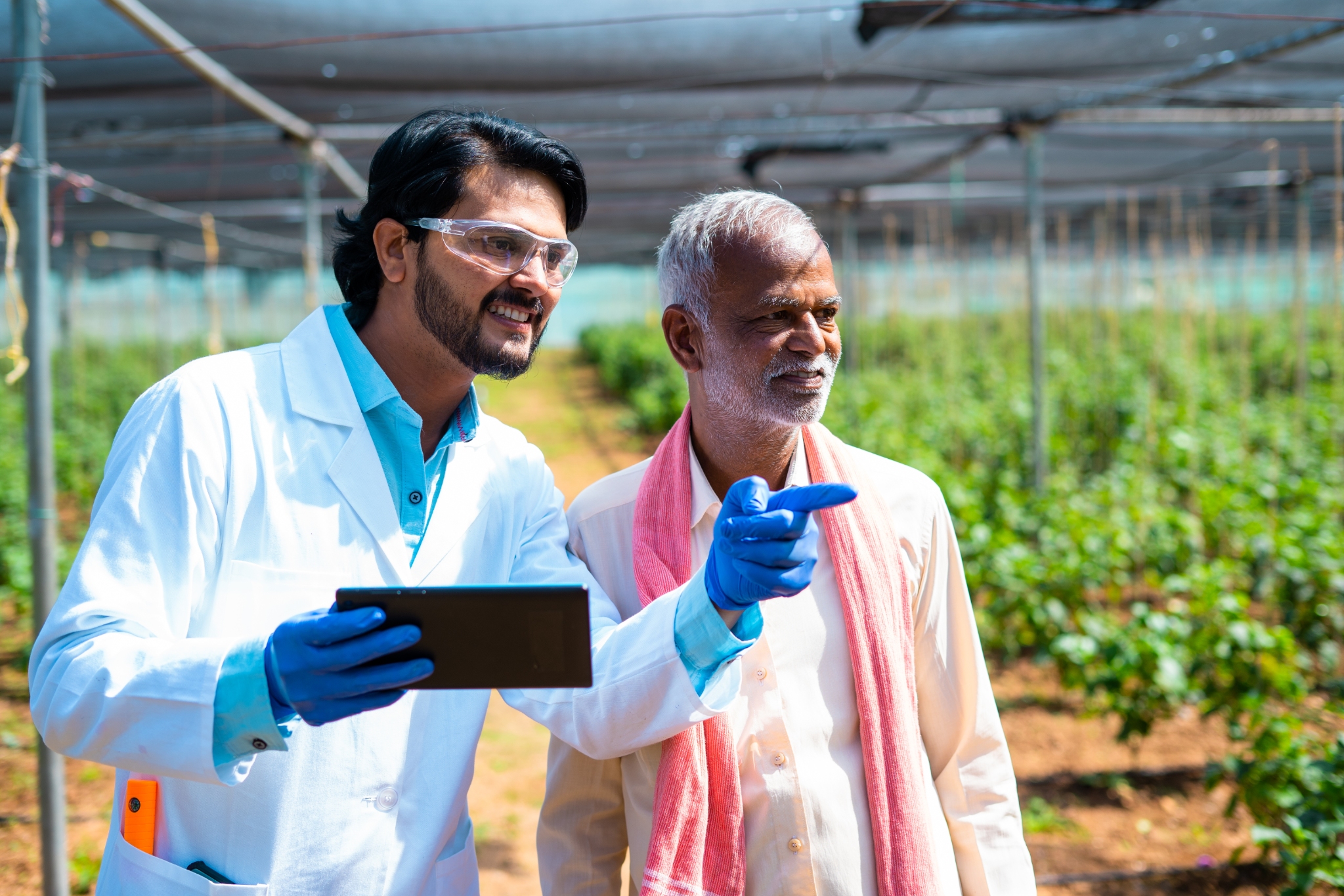 certification-support-consultancy-food certification-support-consultancy-food