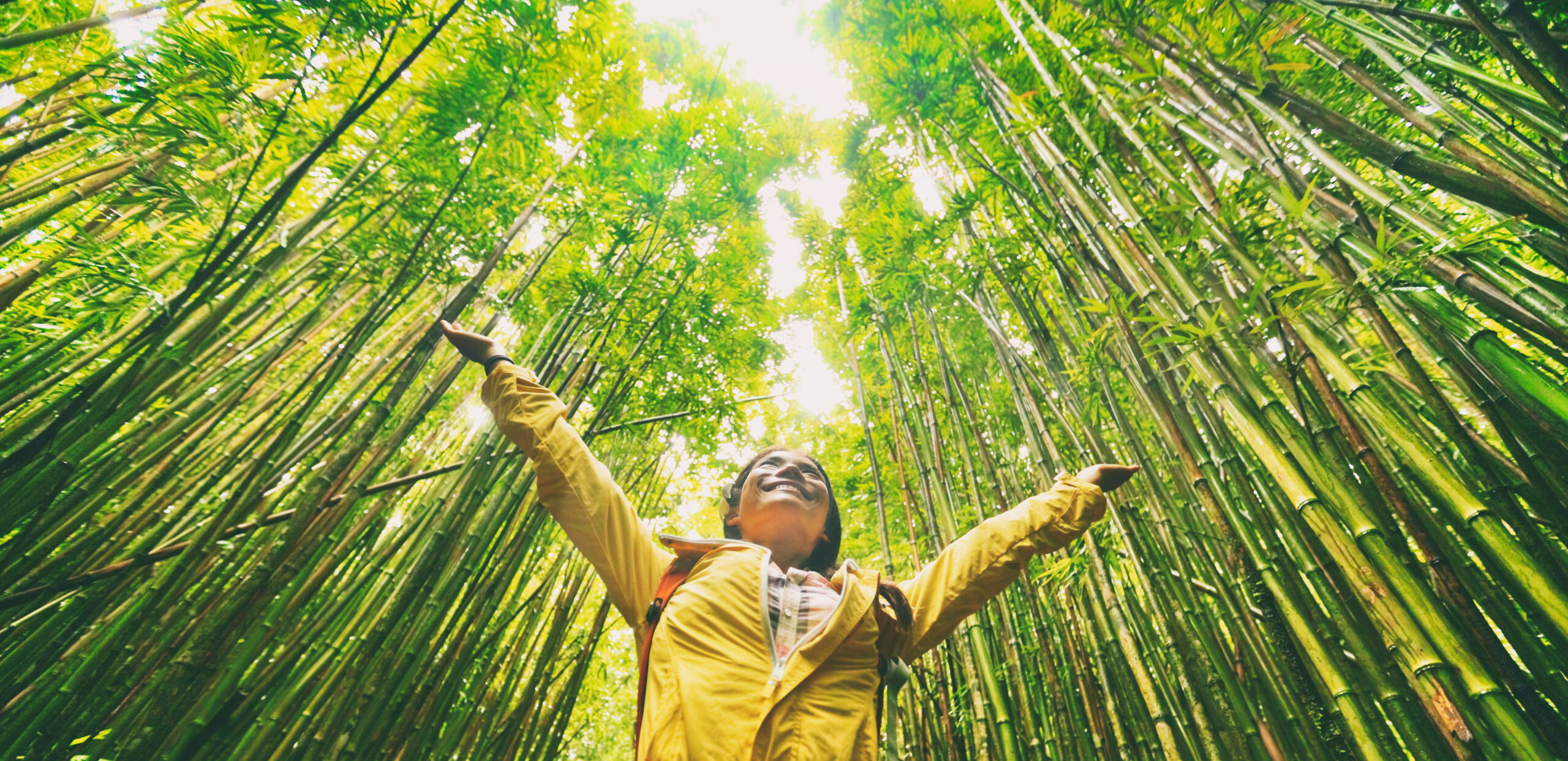 Sustainable eco-friendly travel tourist hiker walking in natural bamboo forest happy with arms up in the air enjoying healthy environment renewable resources. Sustainable eco-friendly travel tourist hiker walking in natural bamboo forest happy with arms up in the air enjoying healthy environment renewable resources.