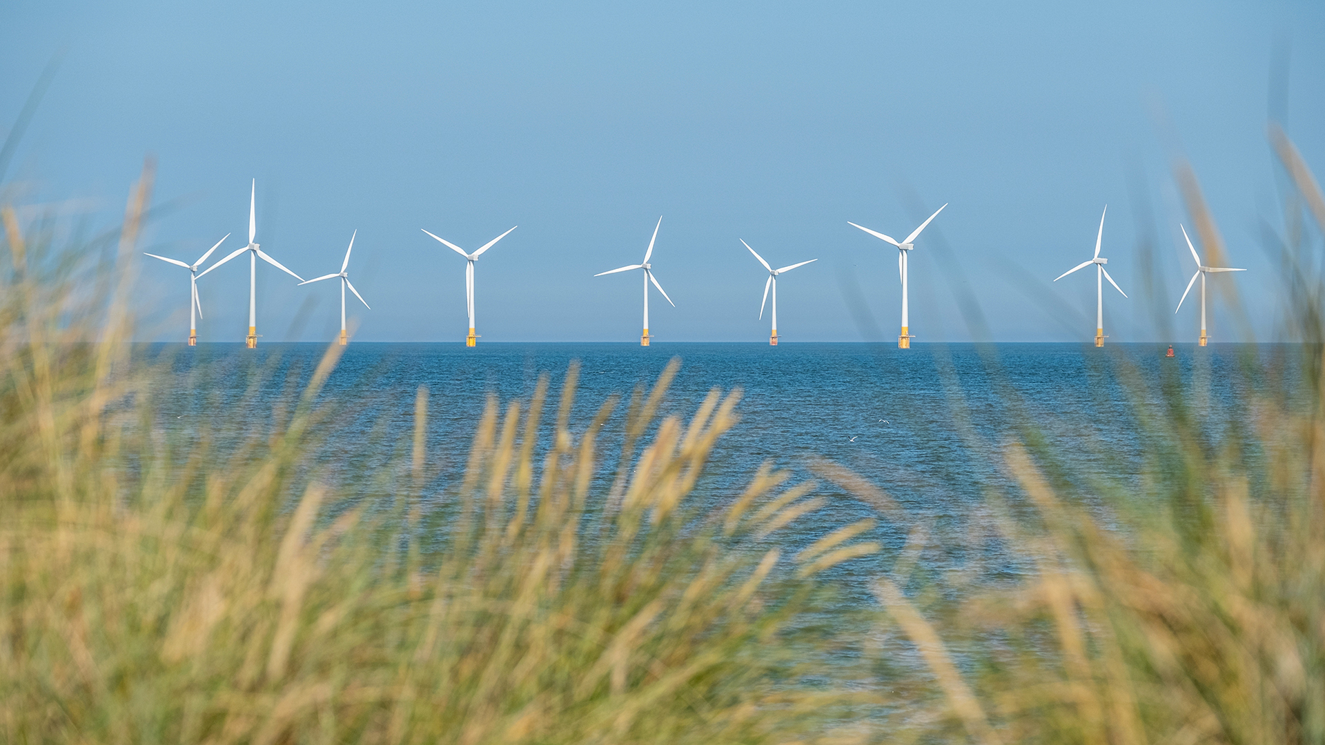 Scroby Sands Wind Farm located in the North Sea off Norfolk coas