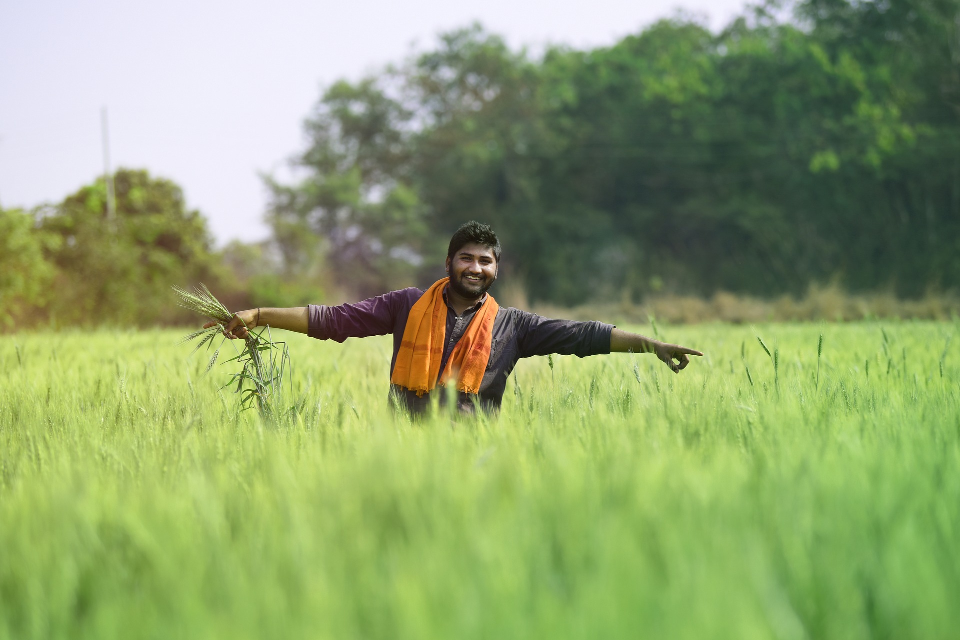 Regenerative Agriculture Regenerative Agriculture